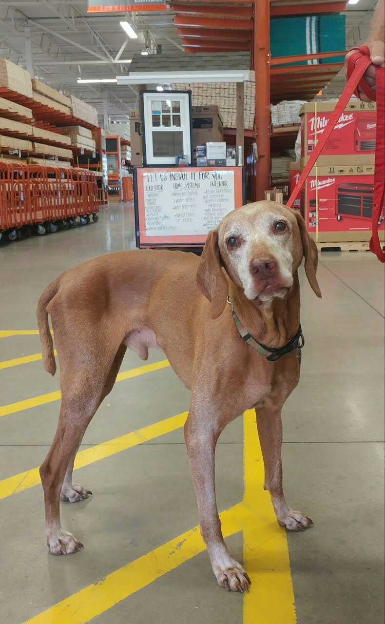 Jasper